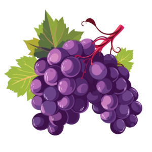 Bimo 12000 - Snow Grape
