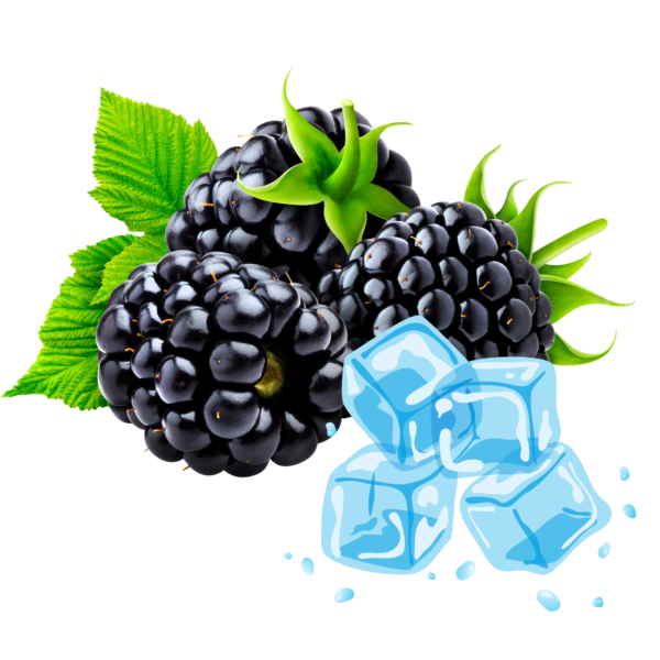 Bimo 12000 - Blackberry ice